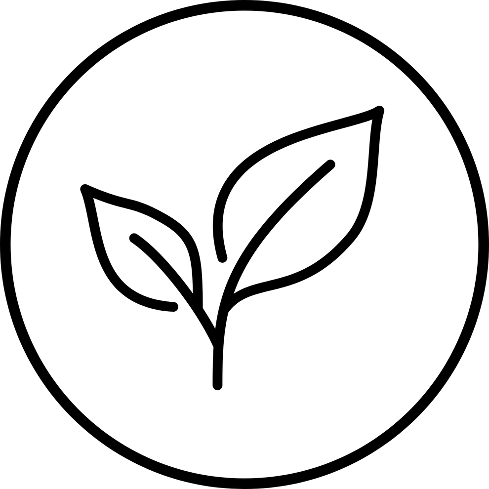 Product Description Icon