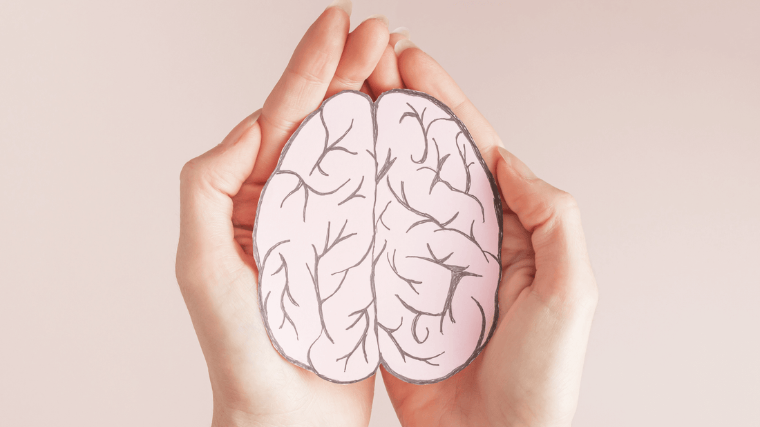 4 Nutrients For Better Memory And Brain Health