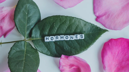 Hormones_101_Essentials_Every_Woman_Should_Know