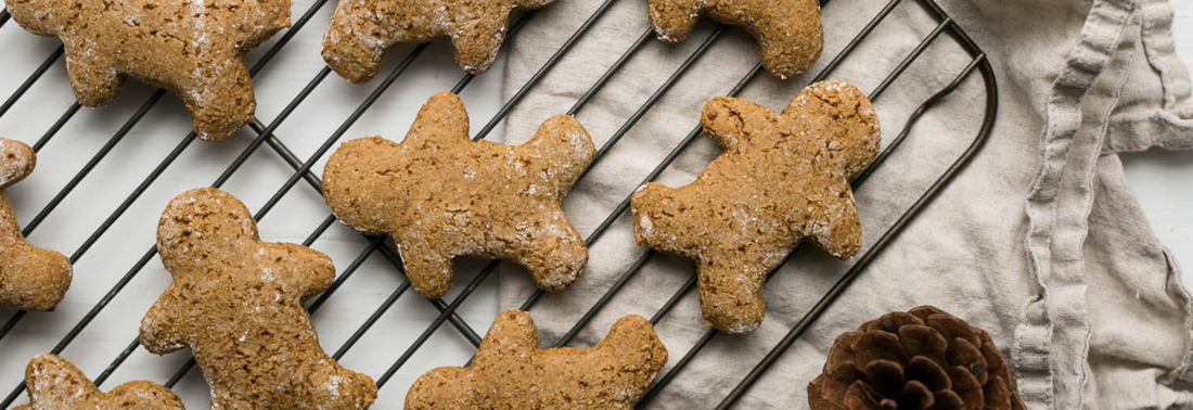 Gingerbread Protein Cookies