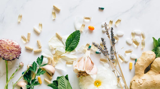 The_Holistic_Menopause_Toolkit_A_Lifestyle_Medicine_Approach