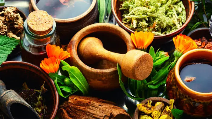 Understanding Naturopathic Medicine