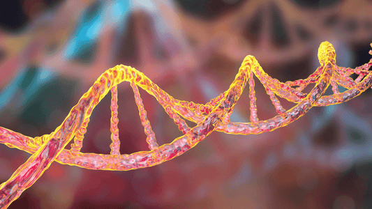 A Healthy Curiosity: Maximizing Your Genetic Potential With Dr. Michelle Sands