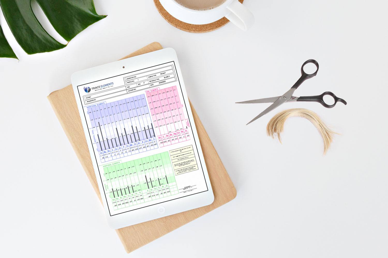HTMA ( Hair Tissue Mineral Analysis)