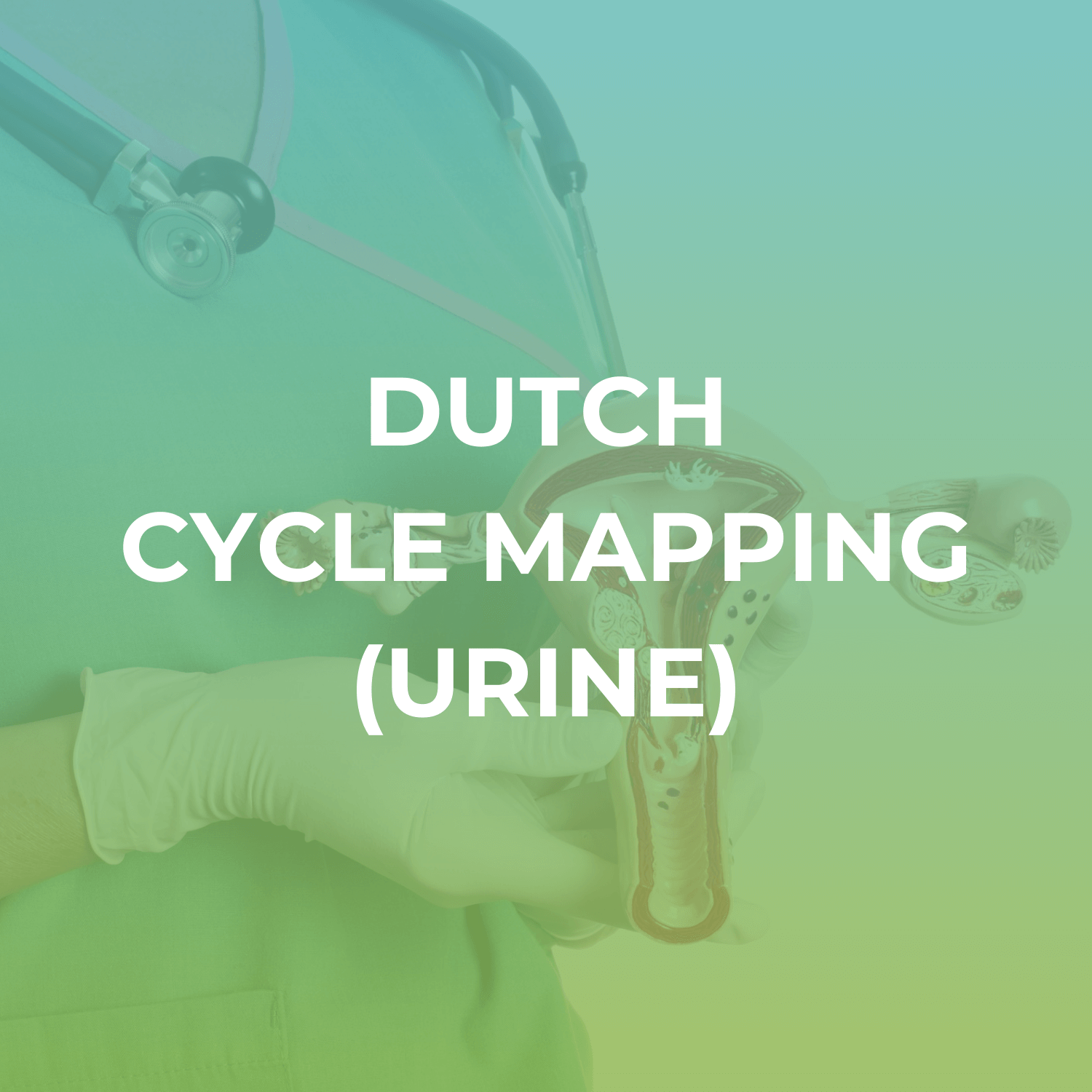 DUTCH Cycle Mapping