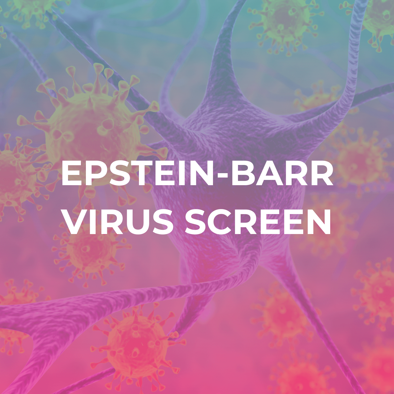 Epstein-Barr Virus Screen